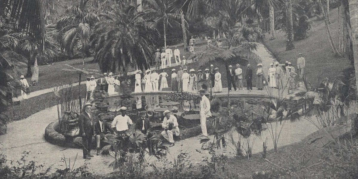 An old promotional photo for The United Fruit Company featuring a group photographed in one of its plantations in Jamaica