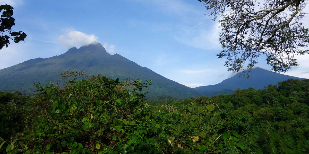 Landscape image showing mountains in the background and a lush green forest in the foreground