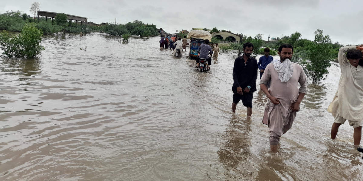 A line of people with clothes pulled up above the knees wade through brown floodwater