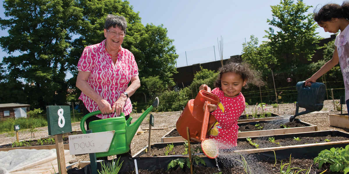 A young smiling child pours water from a watering can over a bed of sprouting plants as a smiling older person looks on at the Golden Hill Community Garden