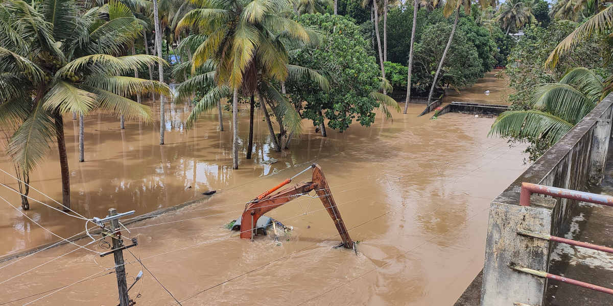 Brown flood water submerges cars and a tractor surrounded by palm trees