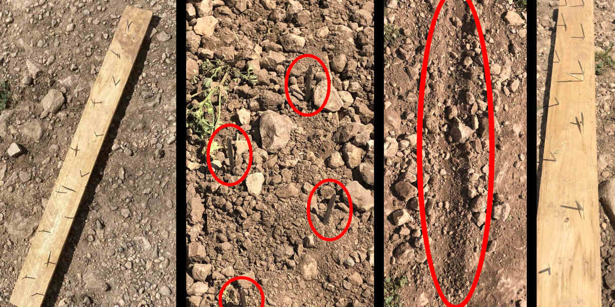 Nails buried by Israeli settlers to sabotage Palestinian herders and farmers, with the nails circled in red