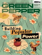 The cover of Green Pepper, a montage of illustrated flowers and bees on a pale green background